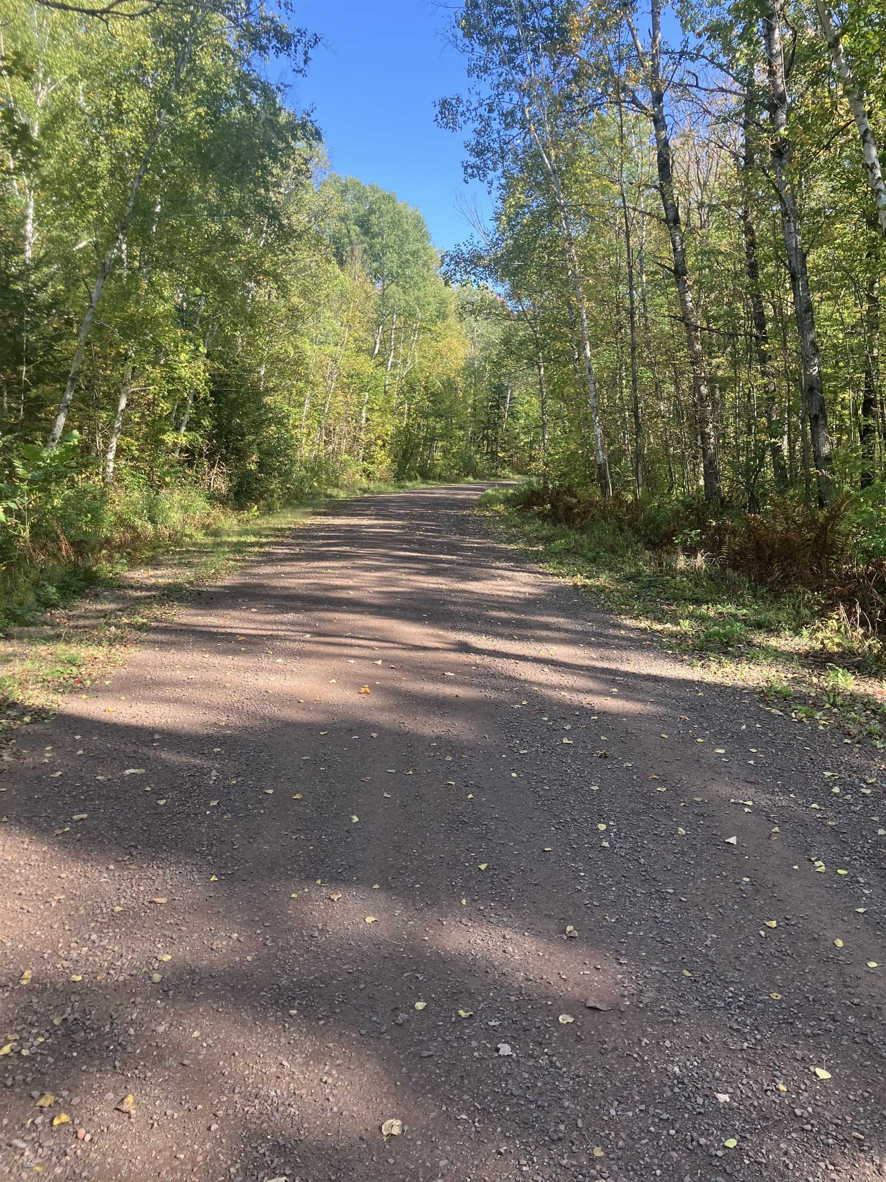 2 Pine Flats Road Ashland, WI 54806 - Photo 8 of 10 View of dirt / gravel road with a forest view