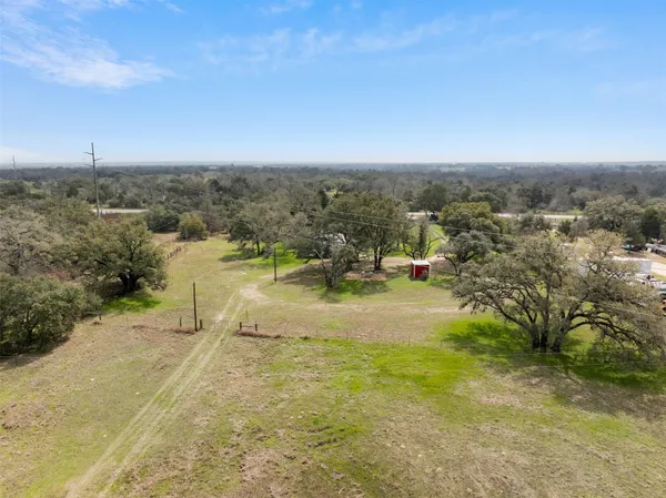 a view of a yard with a tree
