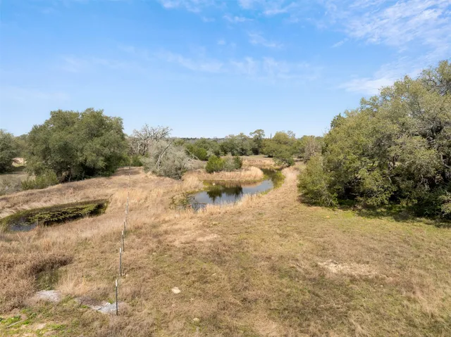 a view of a bunch of trees and bushes