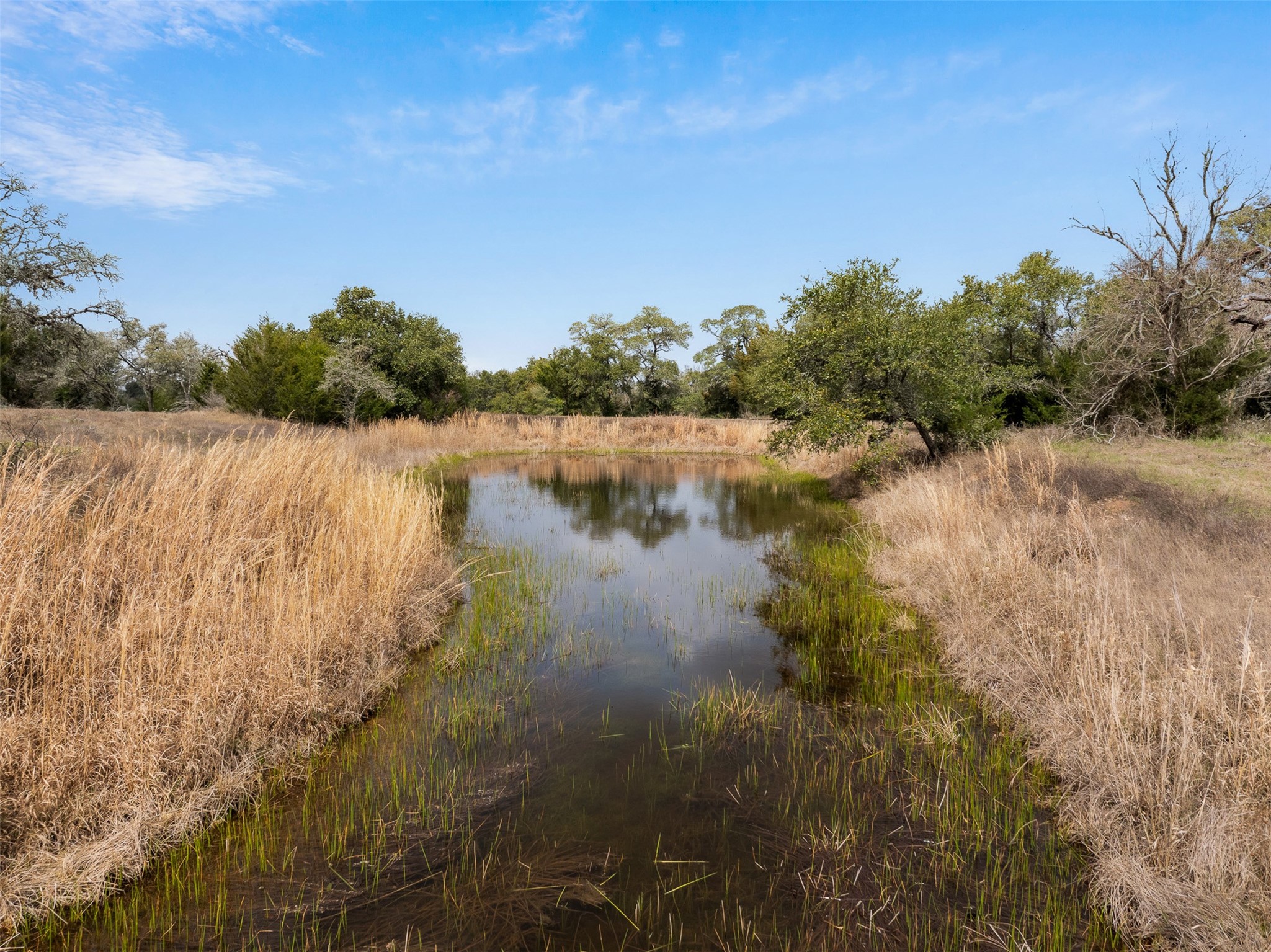2407 East State Highway 159 Fayetteville, TX 78940 - Photo 30 of 35 a view of lake