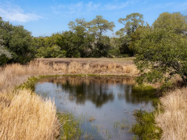 a close up of a shower curtain