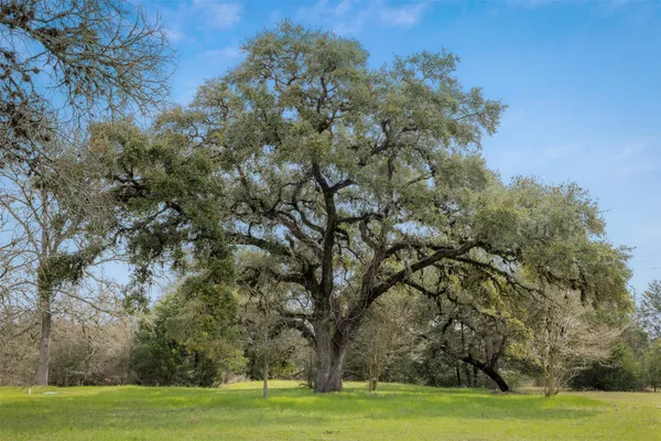 $425,000 | 2407 East State Highway 159, Fayetteville, TX 78940