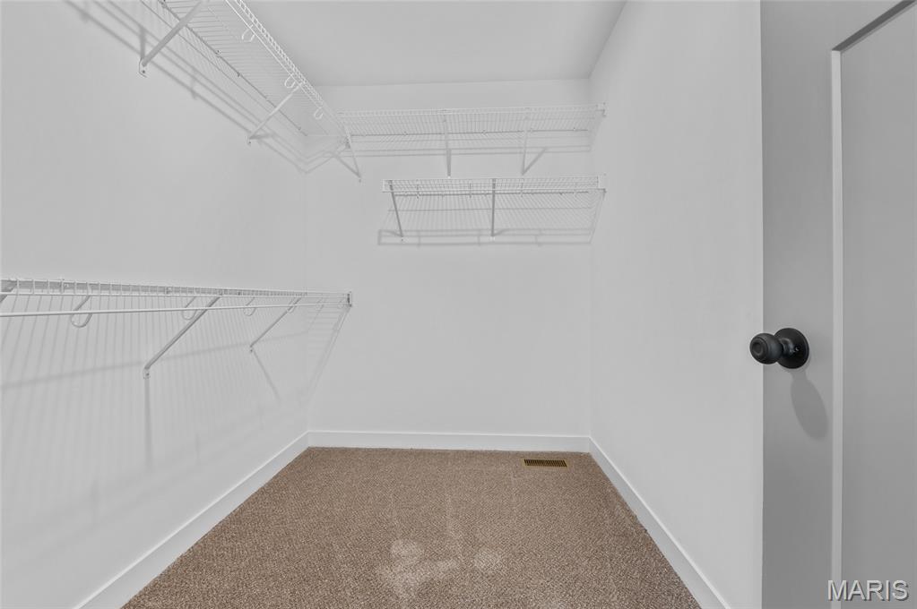 225 Ranchero Drive Hamel, IL 62046 - Photo 28 of 50