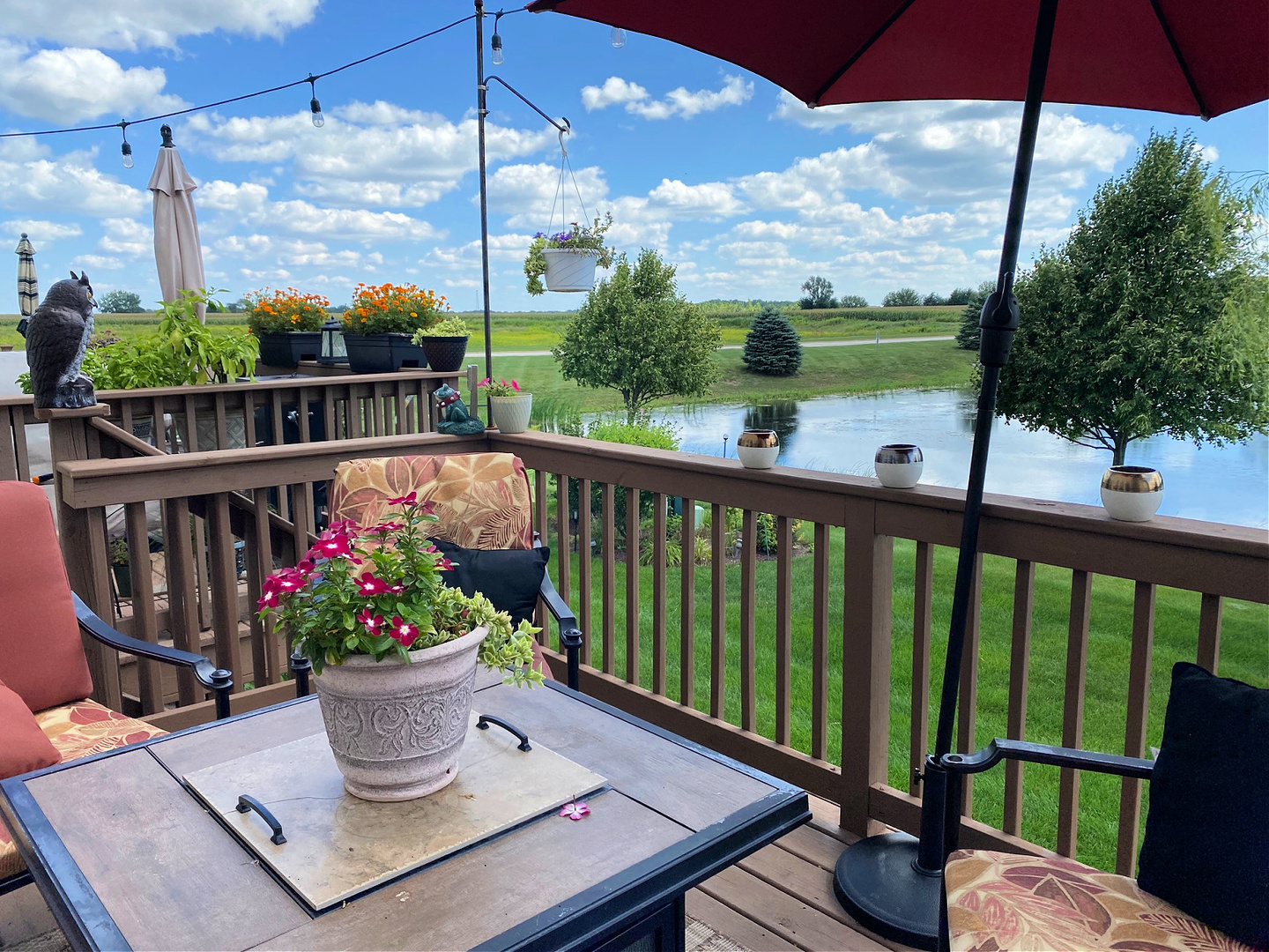 1197 Freedom Road Elburn, IL 60119 - Photo 28 of 31 a view of a balcony with potted plants