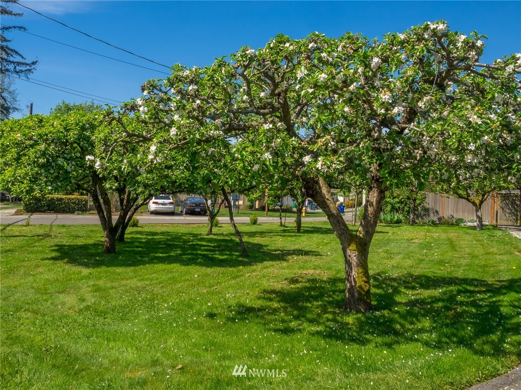 505 Nellis Road Bothell, WA 98012 - Photo 7 of 9
