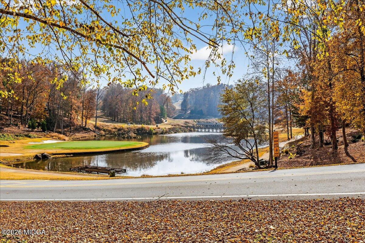 518 River Overlook Forsyth, GA 31029 - Photo 71 of 96 a view of a yard with large trees