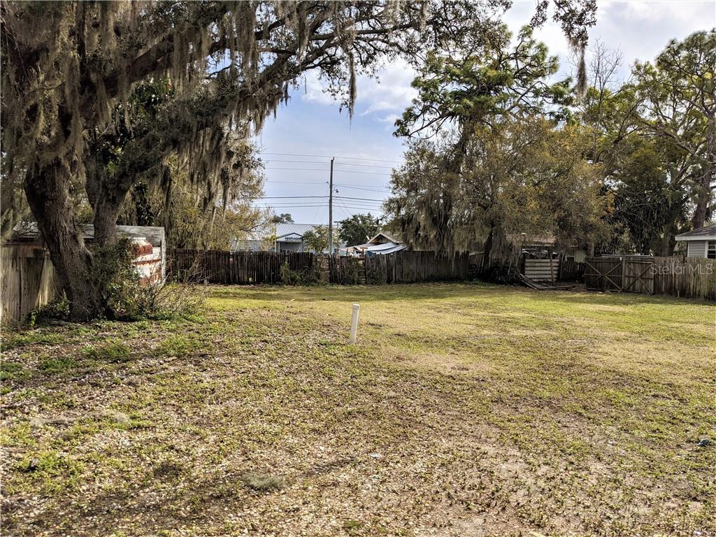 3908 Walnut Avenue Sarasota, FL 34234 - Photo 1 of 1 a view of a yard with a tree
