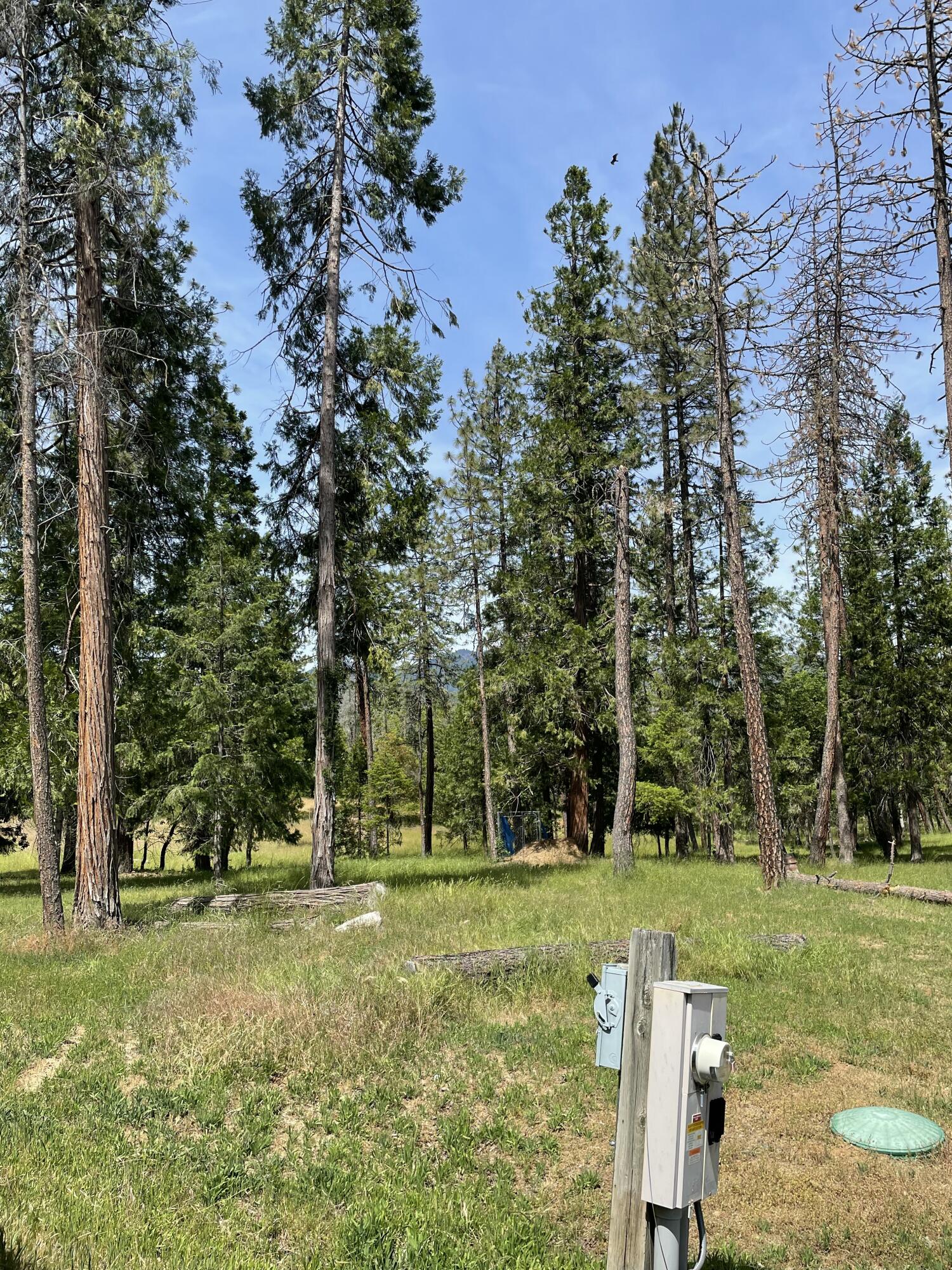 190 Citadel Road Trail, OR 97541 - Photo 10 of 27 a view of a park with large trees