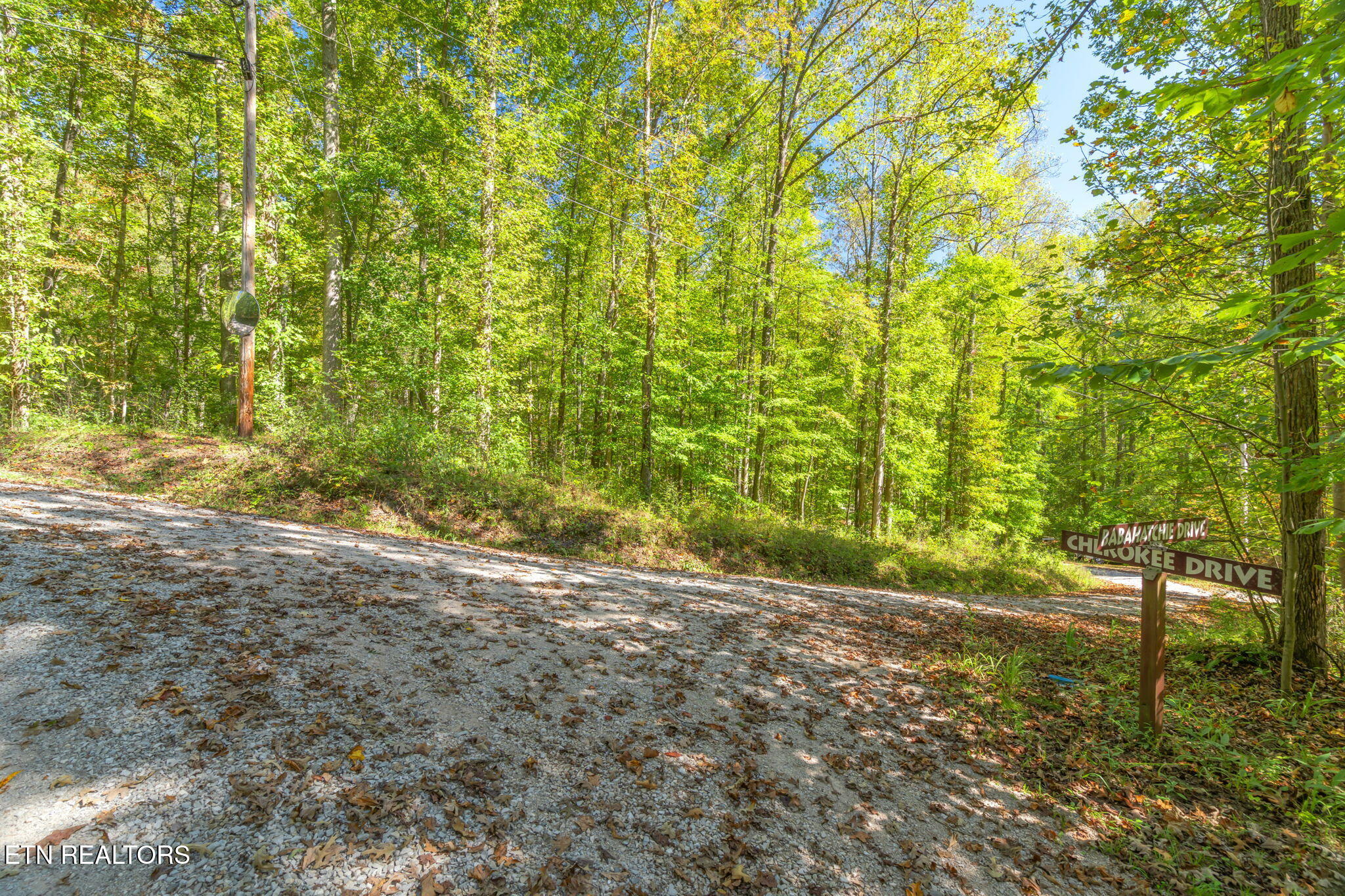 Tunnel Hill Road Harriman, TN 37748 - Photo 9 of 23 6-web-or-mls-Tunnel Hill Road-7