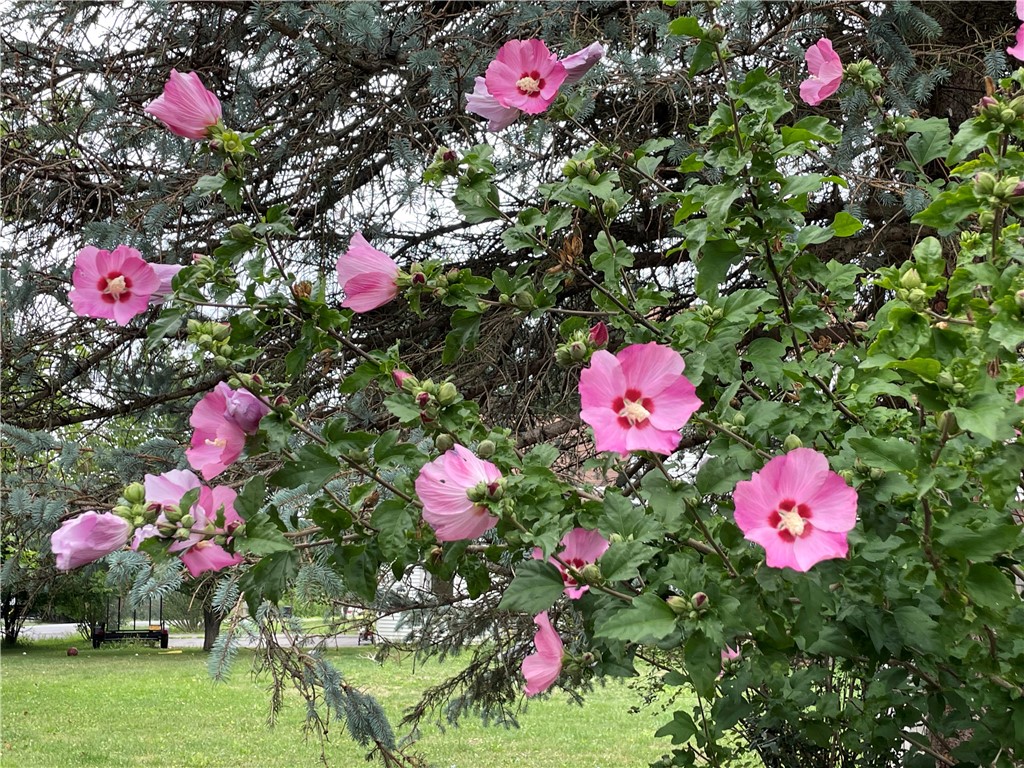 212 Wilson Road Lansing, NY 14882 - Photo 38 of 49