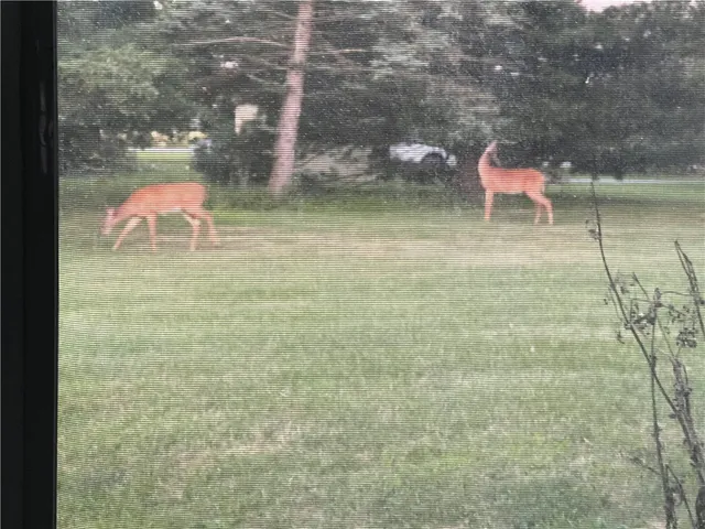 $425,000 | 212 Wilson Road, Lansing, NY 14882