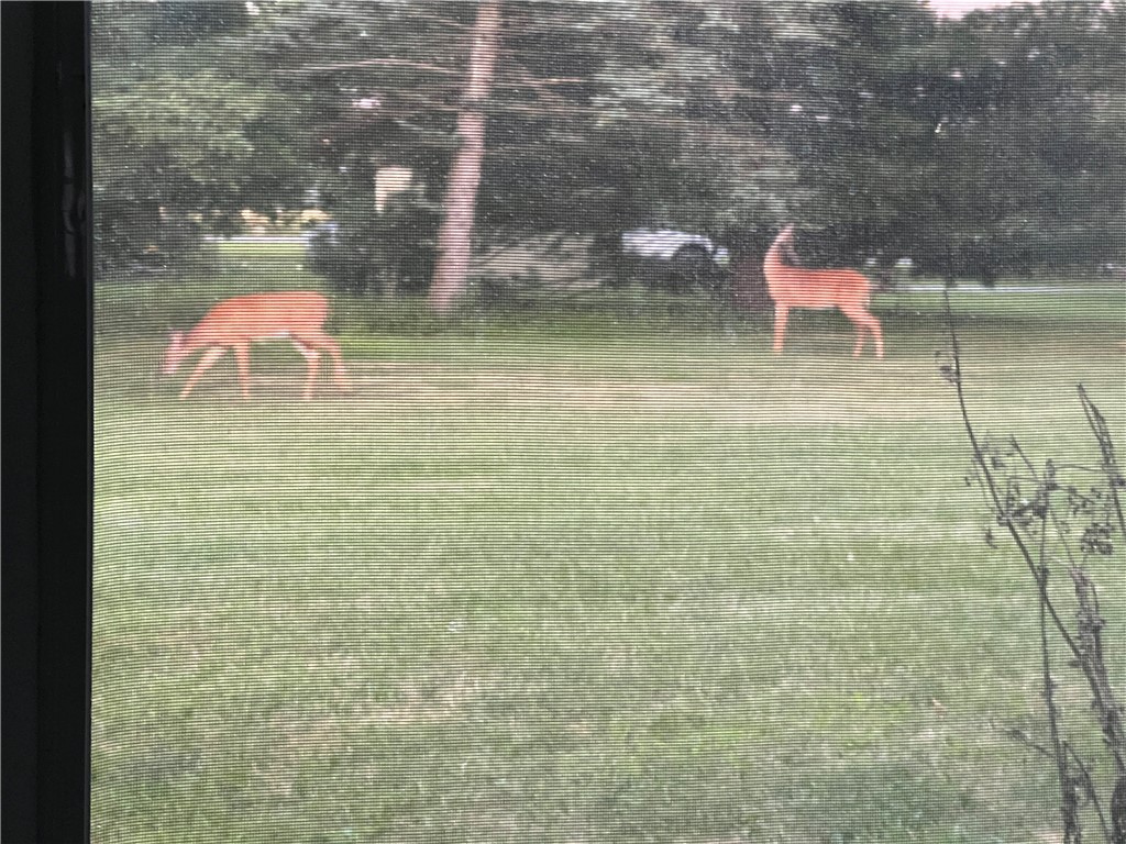 212 Wilson Road Lansing, NY 14882 - Photo 42 of 49