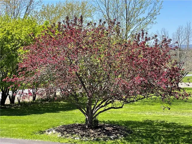 $425,000 | 212 Wilson Road, Lansing, NY 14882