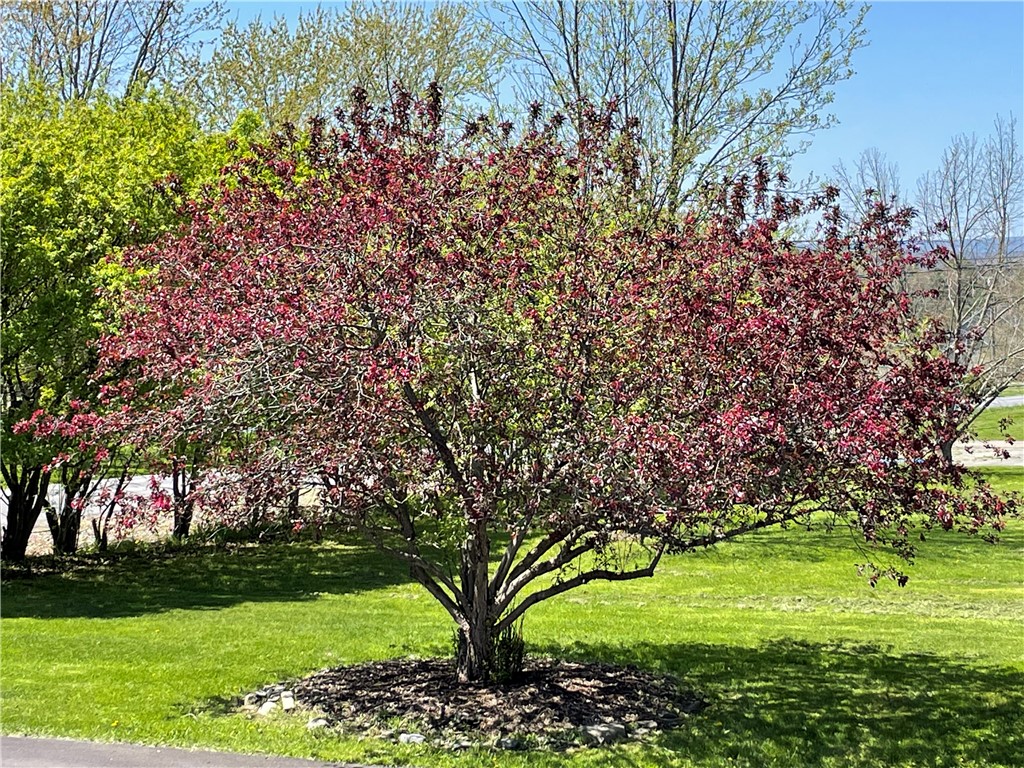 212 Wilson Road Lansing, NY 14882 - Photo 46 of 49