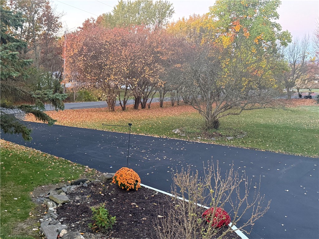 212 Wilson Road Lansing, NY 14882 - Photo 49 of 49