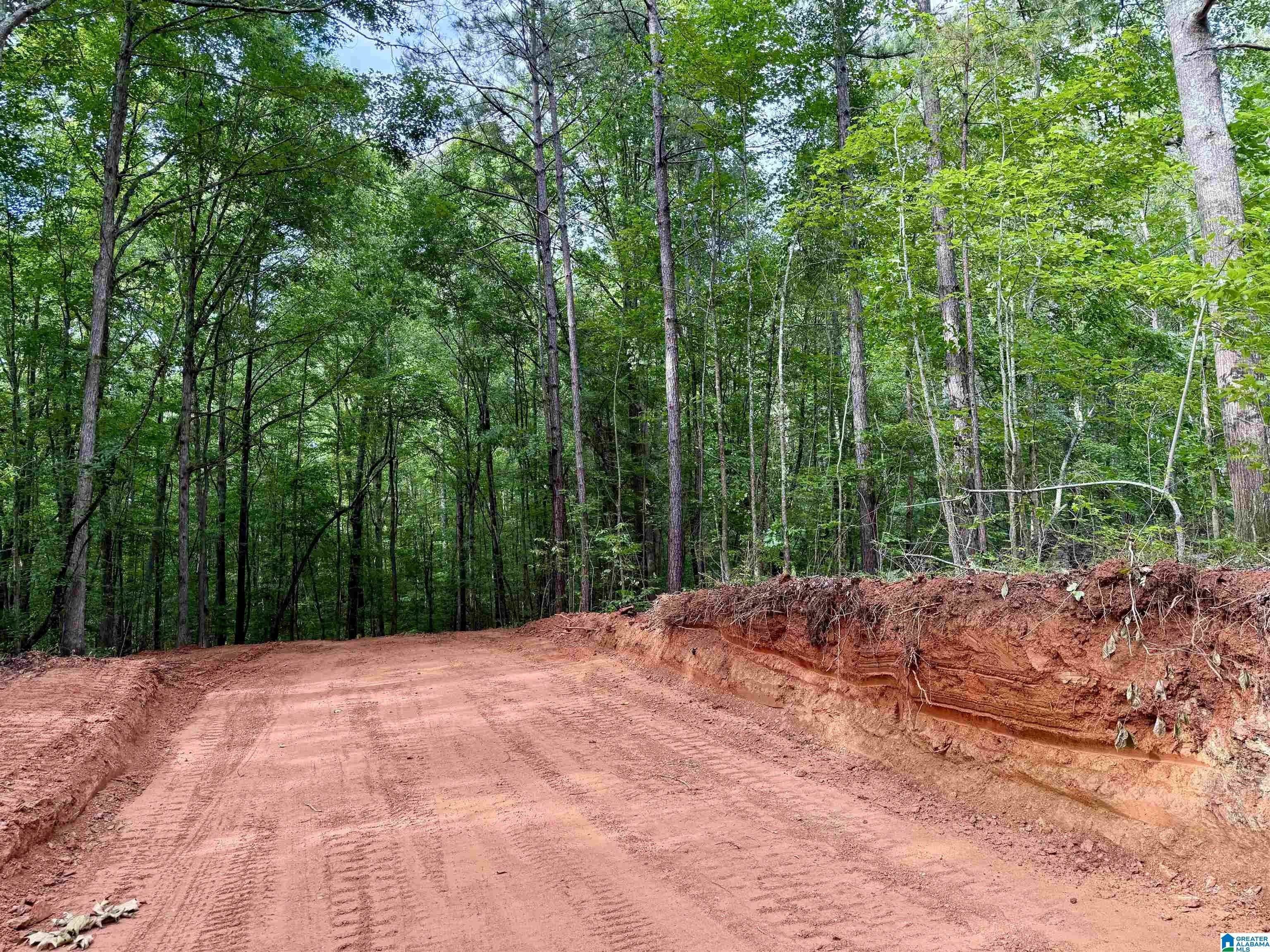 0 Settlement Road Sylacauga, AL 35150 - Photo 12 of 16