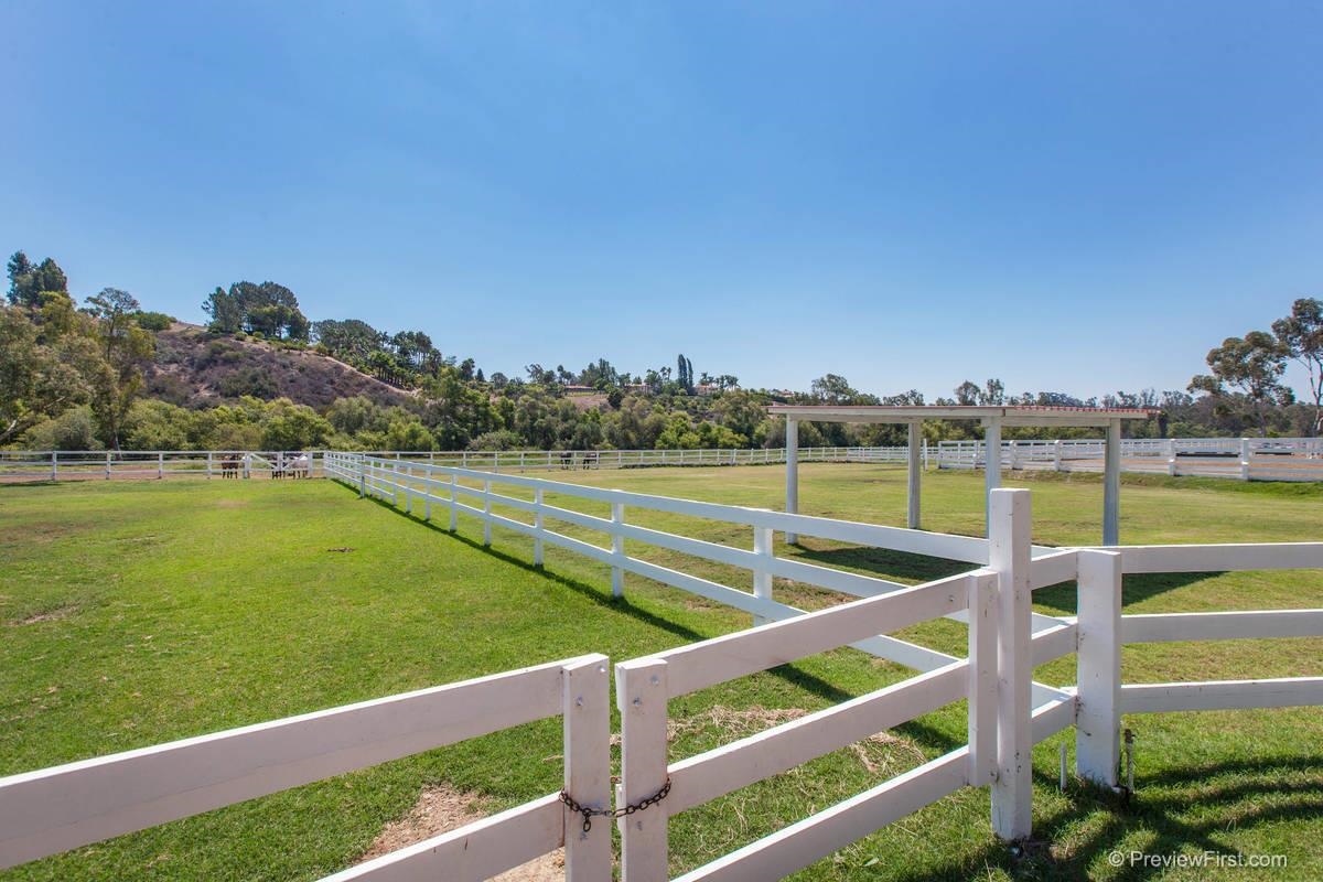 2570 5th Street Encinitas, CA 92024 - Photo 8 of 20 TOTAL OF 8 GRASS PASTURES