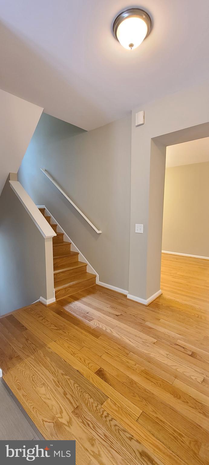 3816 Ridge Road Annandale, VA 22003 - Photo 37 of 86