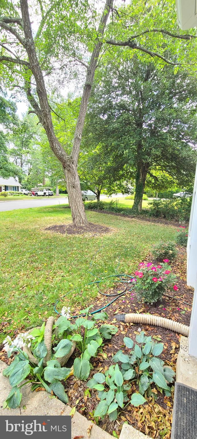 3816 Ridge Road Annandale, VA 22003 - Photo 6 of 86