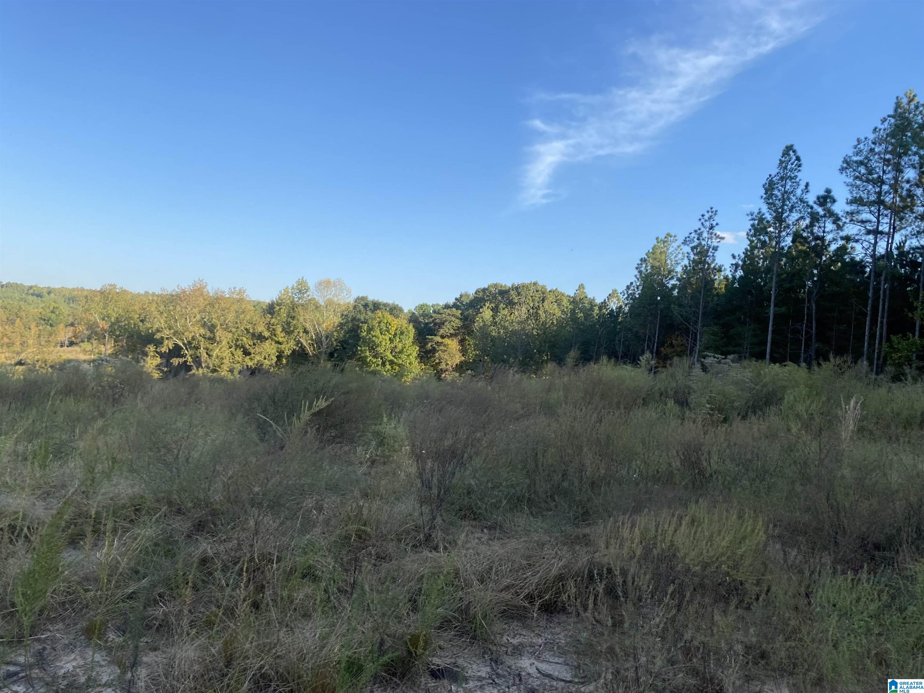 0 Frost Road, Unit 100 / ACRES Springville, AL 35146 - Photo 14 of 60
