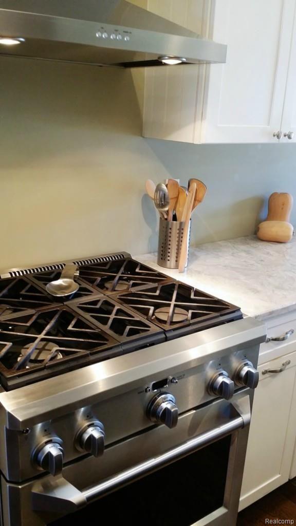45900 South Stonewood Road, Unit 225 Canton, MI 48187 - Photo 8 of 61 ak6_142015.jpg
