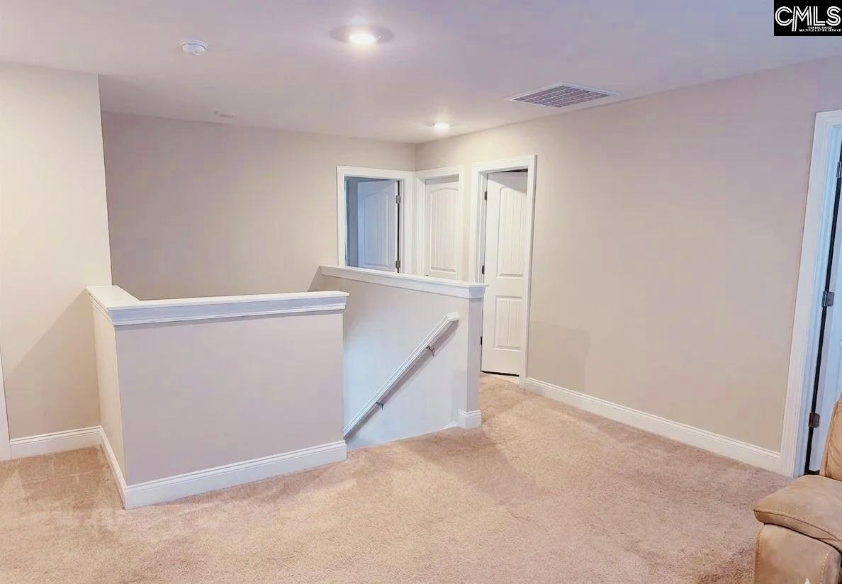 620 Chatham Way Chapin, SC 29036 - Photo 10 of 18