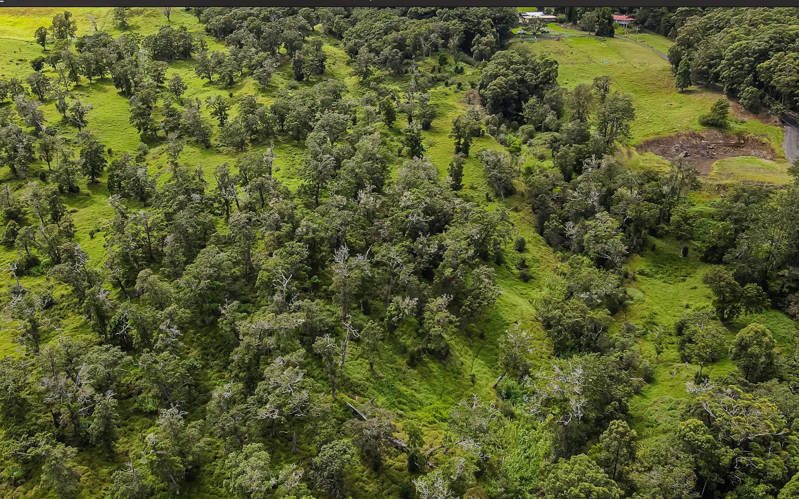 43-1809 Manienie Road Paauilo, HI 96776 - Photo 19 of 19