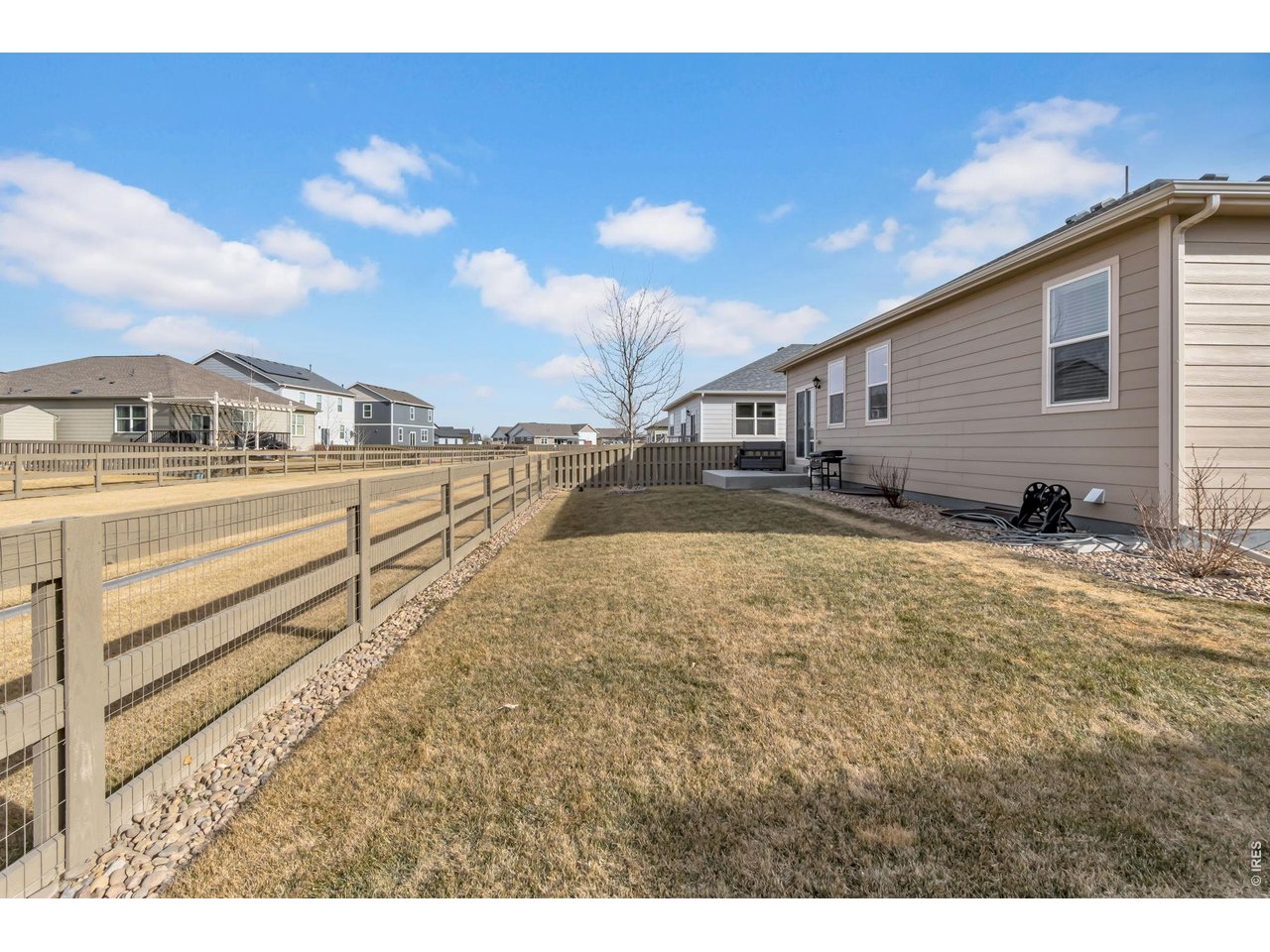 512 Buckrake Street Severance, CO 80550 - Photo 26 of 41 a view of a yard with wooden fence