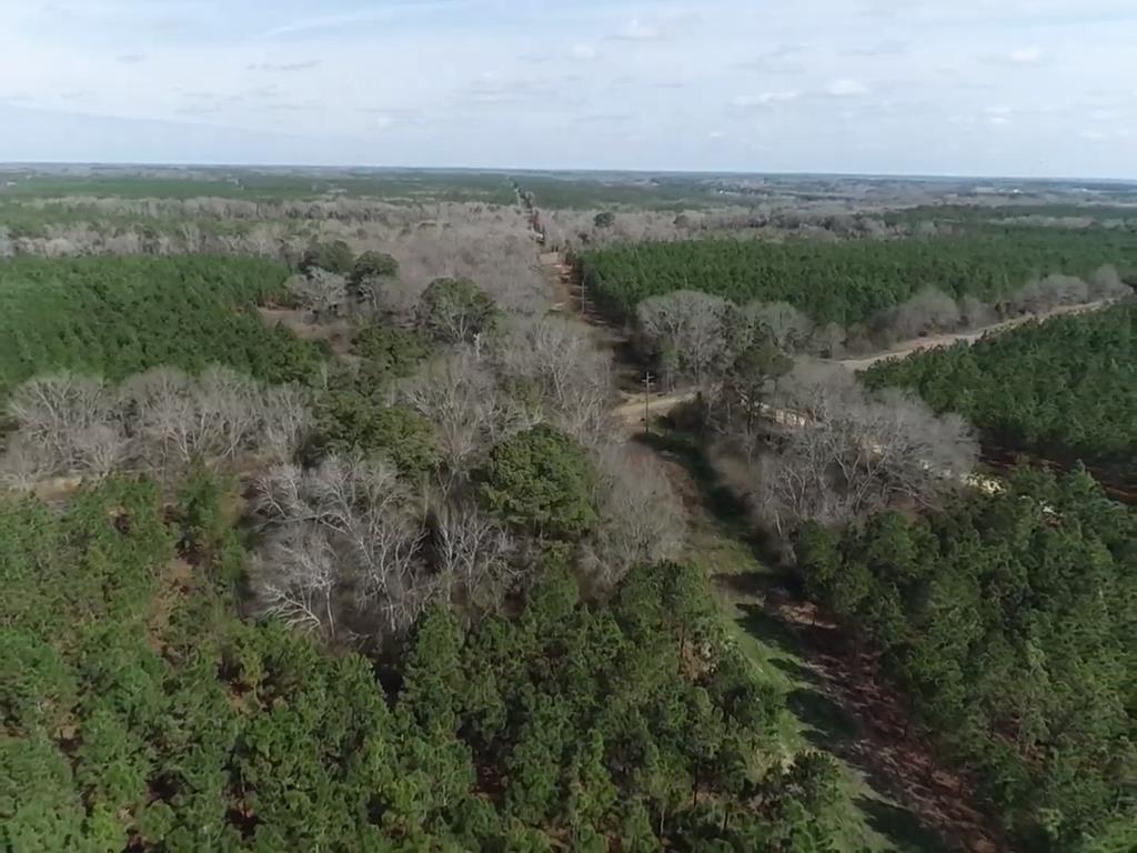 140/ Cty Road Headland, AL 36345 - Photo 32 of 33
