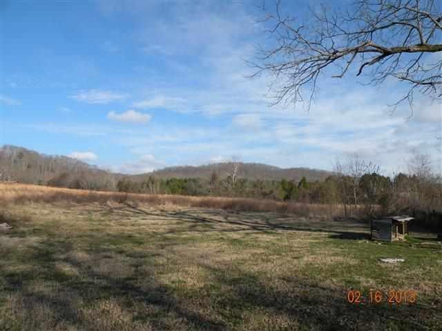 6819-6821 Toestring Valley Road Spring City, TN 37381 - Photo 2 of 5 1