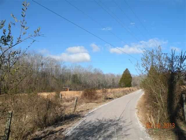 6819-6821 Toestring Valley Road Spring City, TN 37381 - Photo 5 of 5 4