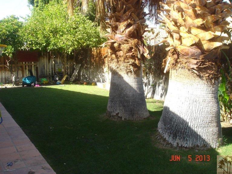 54200 Avenida Ramirez La Quinta, CA 92253 - Photo 2 of 3 a view of a garden