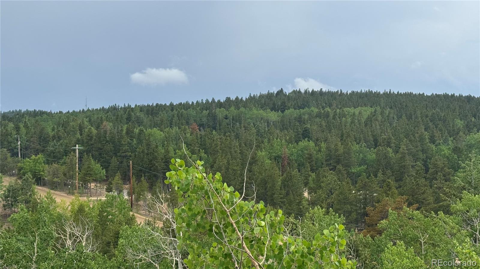 7 Virginia Canyon Road Central City, CO 80427 - Photo 13 of 27 a view of a lake in middle of forest
