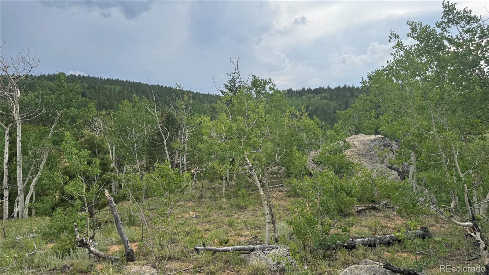 7 Virginia Canyon Road Central City, CO 80427 - Photo 14 of 27 a view of a field