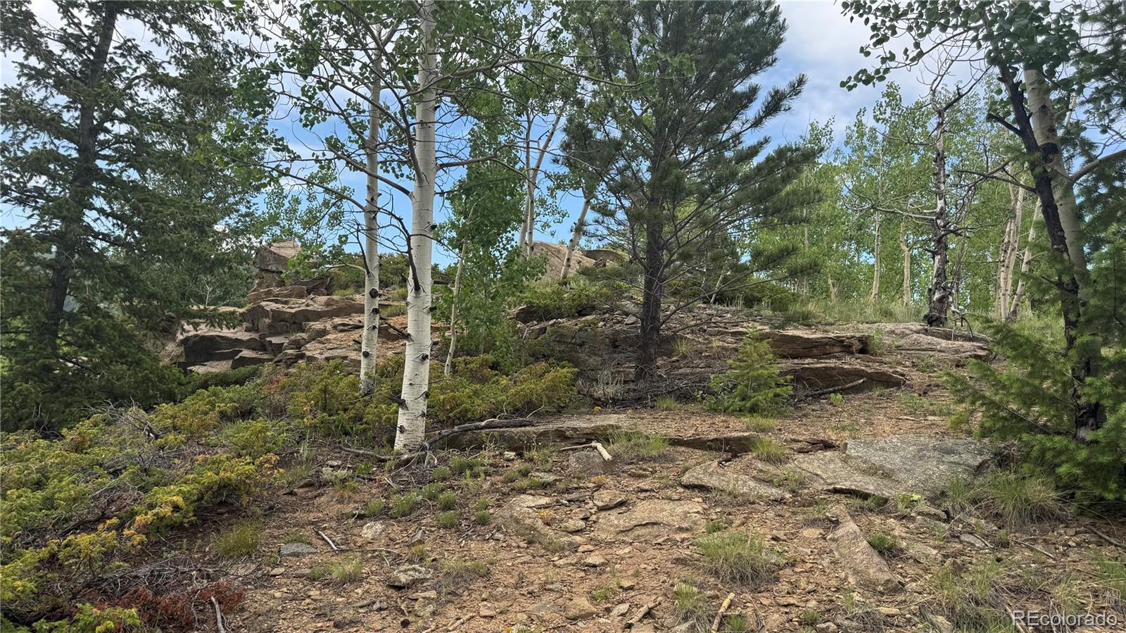 7 Virginia Canyon Road Central City, CO 80427 - Photo 21 of 27 a view of a forest with trees in the background