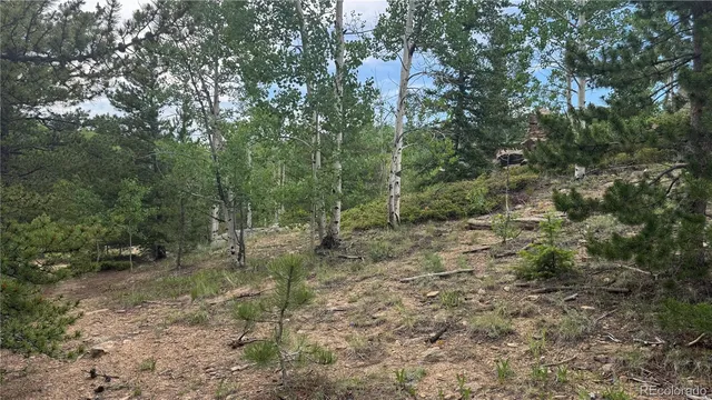 a view of a yard with a tree