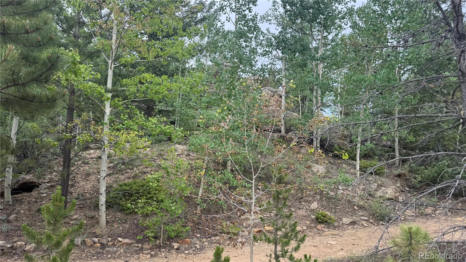 7 Virginia Canyon Road Central City, CO 80427 - Photo 24 of 27 a view of forest