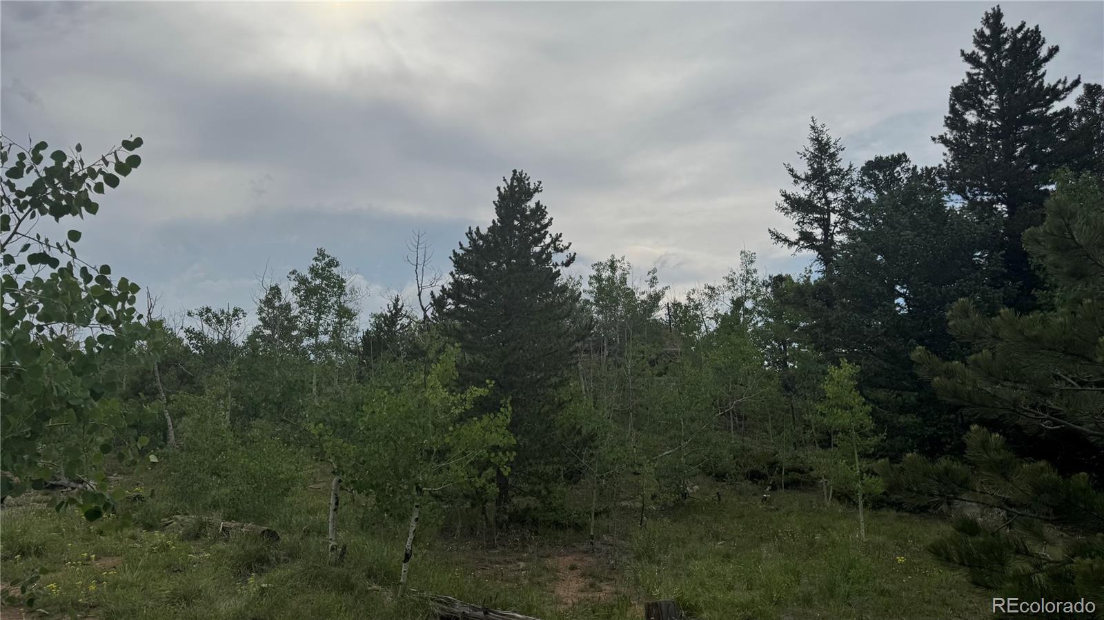 7 Virginia Canyon Road Central City, CO 80427 - Photo 5 of 27 a view of a lake in middle of forest