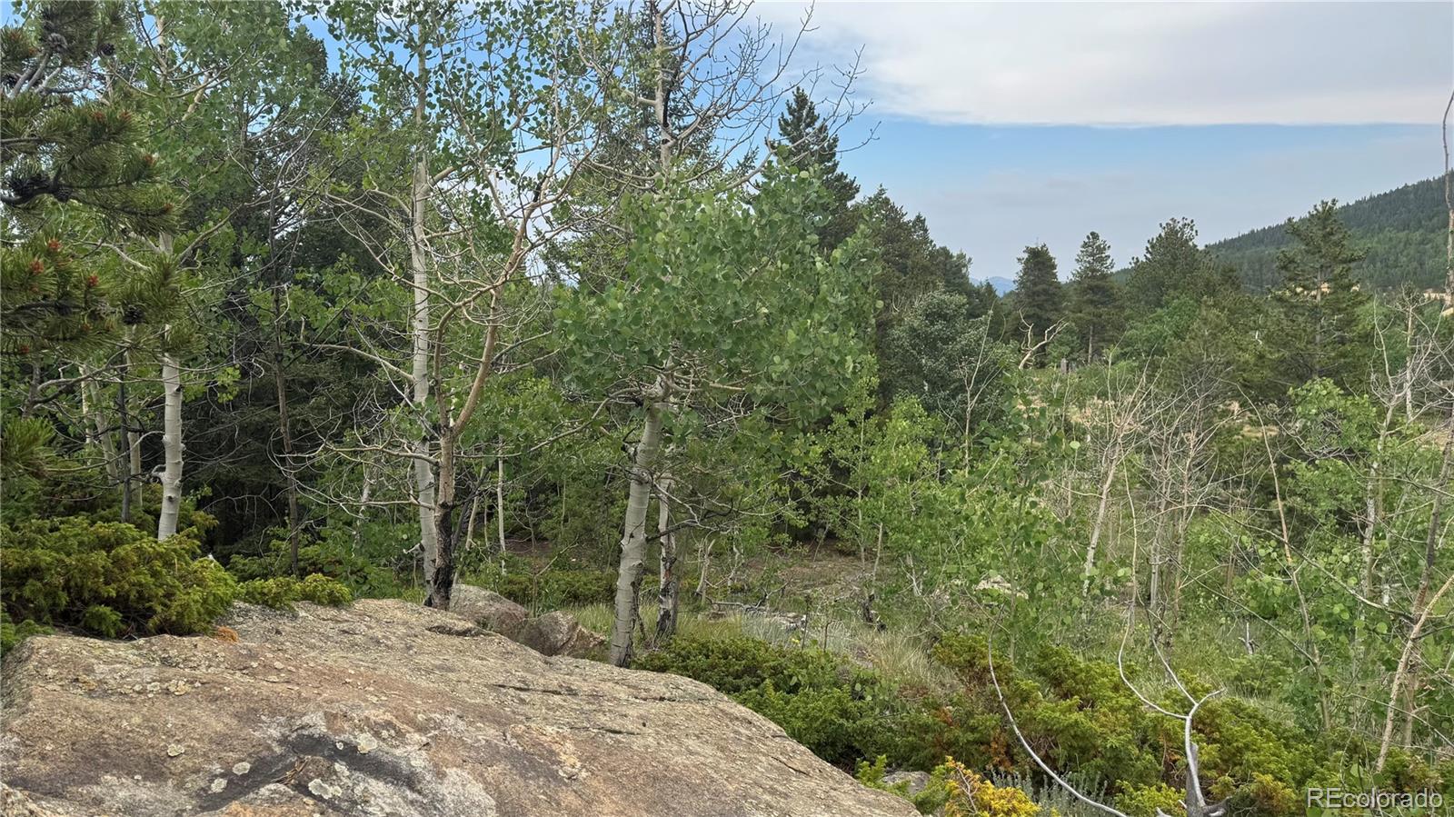 7 Virginia Canyon Road Central City, CO 80427 - Photo 8 of 27 a view of a forest with trees in the background