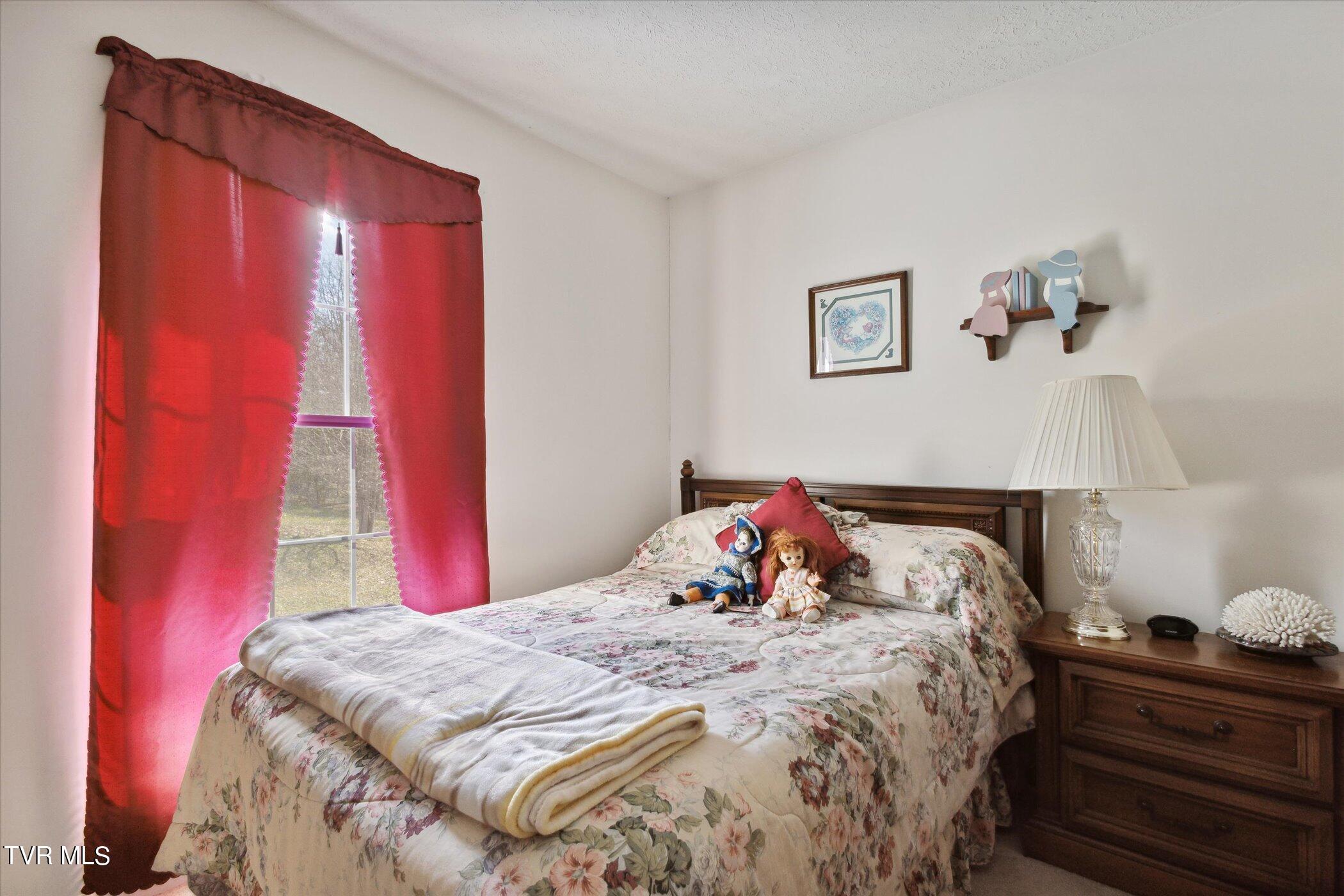 36606 Wilderness Road Jonesville, VA 24263 - Photo 28 of 51 28-36606-Wilderness-Rd-WindowStill-32