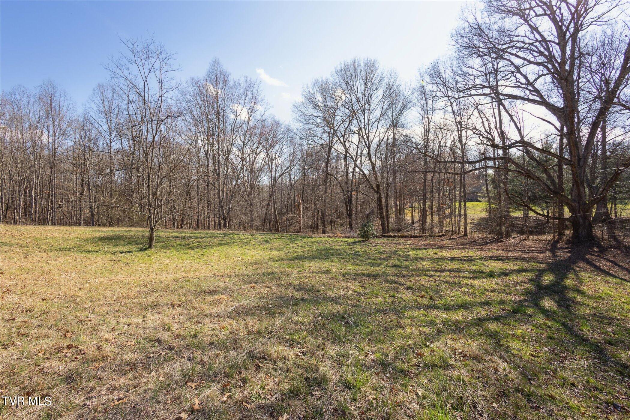 36606 Wilderness Road Jonesville, VA 24263 - Photo 41 of 51 42-36606-Wilderness-Rd-WindowStill-41