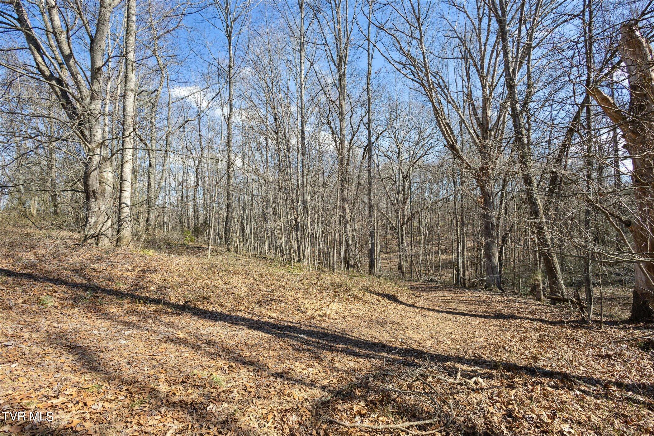 36606 Wilderness Road Jonesville, VA 24263 - Photo 42 of 51 43-36606-Wilderness-Rd-WindowStill-42
