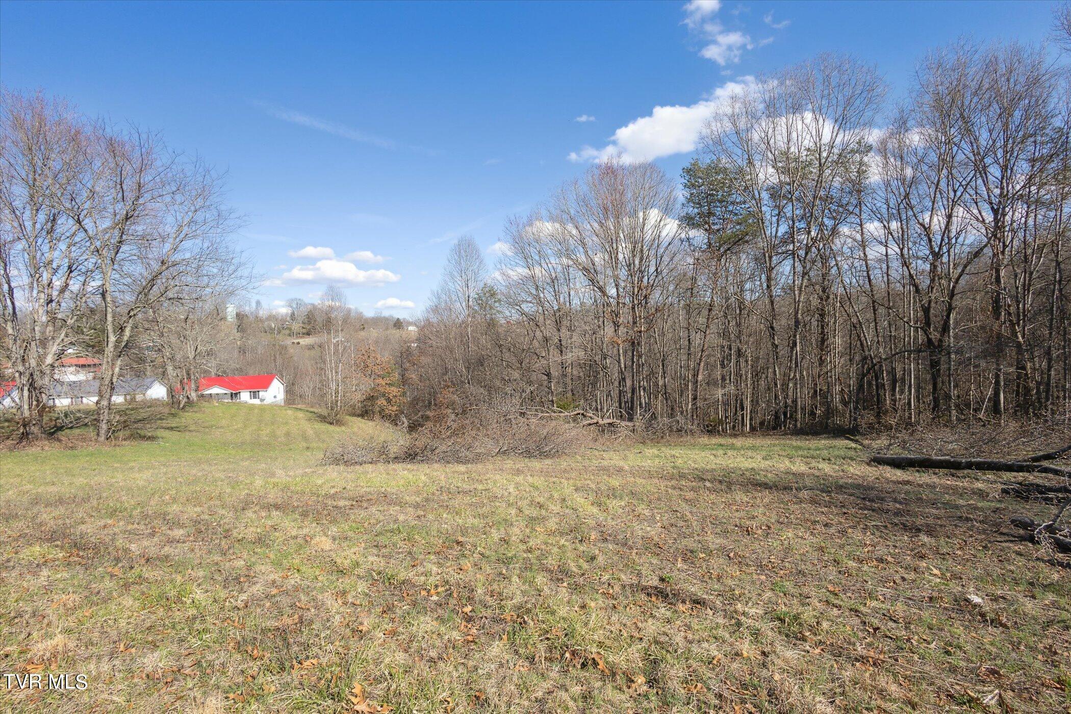 36606 Wilderness Road Jonesville, VA 24263 - Photo 43 of 51 44-36606-Wilderness-Rd-WindowStill-43