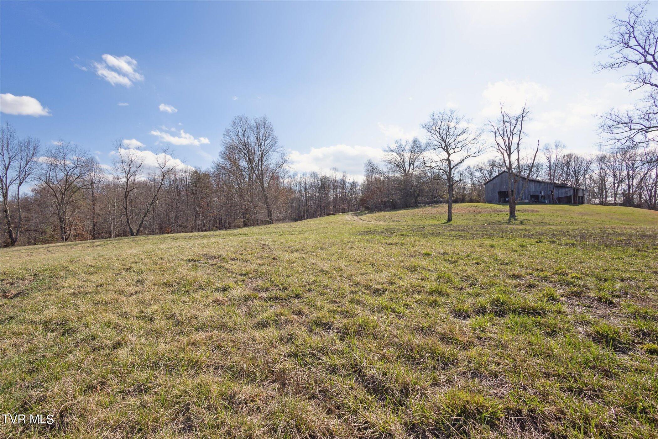 36606 Wilderness Road Jonesville, VA 24263 - Photo 45 of 51 46-36606-Wilderness-Rd-WindowStill-45