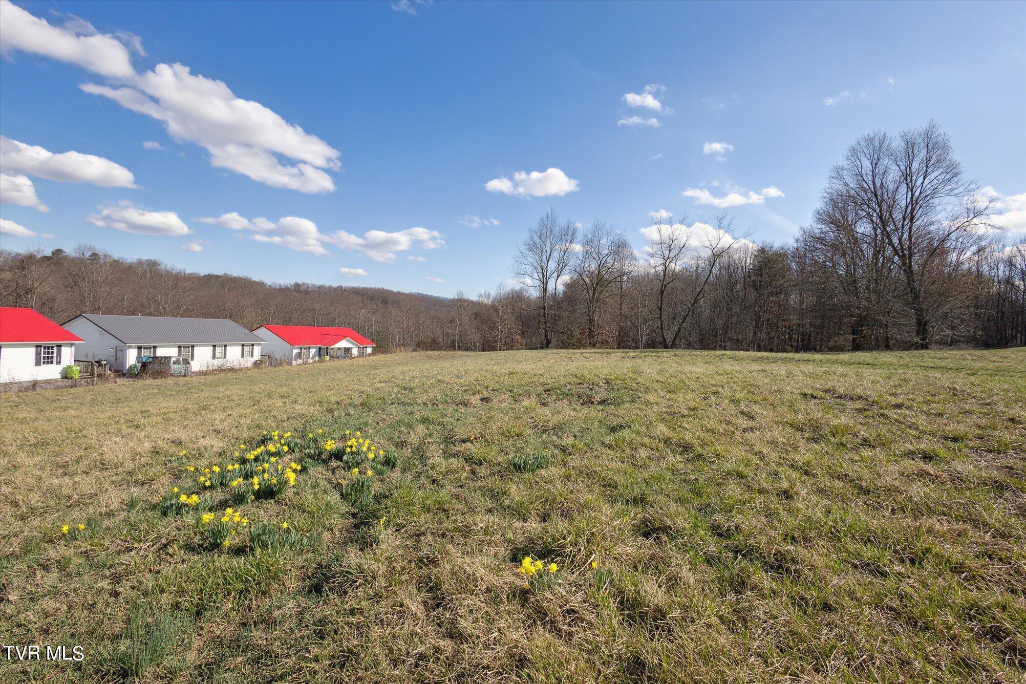 36606 Wilderness Road Jonesville, VA 24263 - Photo 46 of 51 47-36606-Wilderness-Rd-WindowStill-46