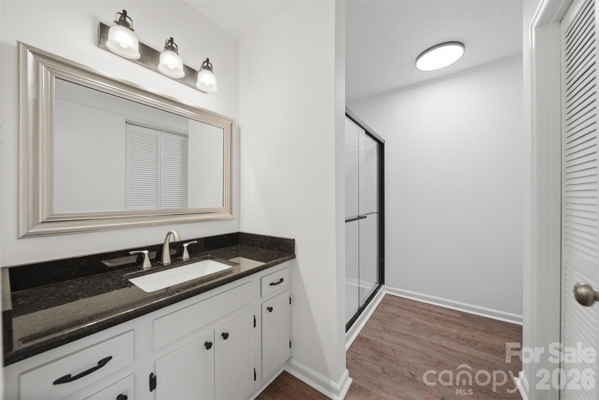 414 7th Street Northeast, Unit 2 Hickory, NC 28601 - Photo 14 of 36 a bathroom with a sink and a mirror
