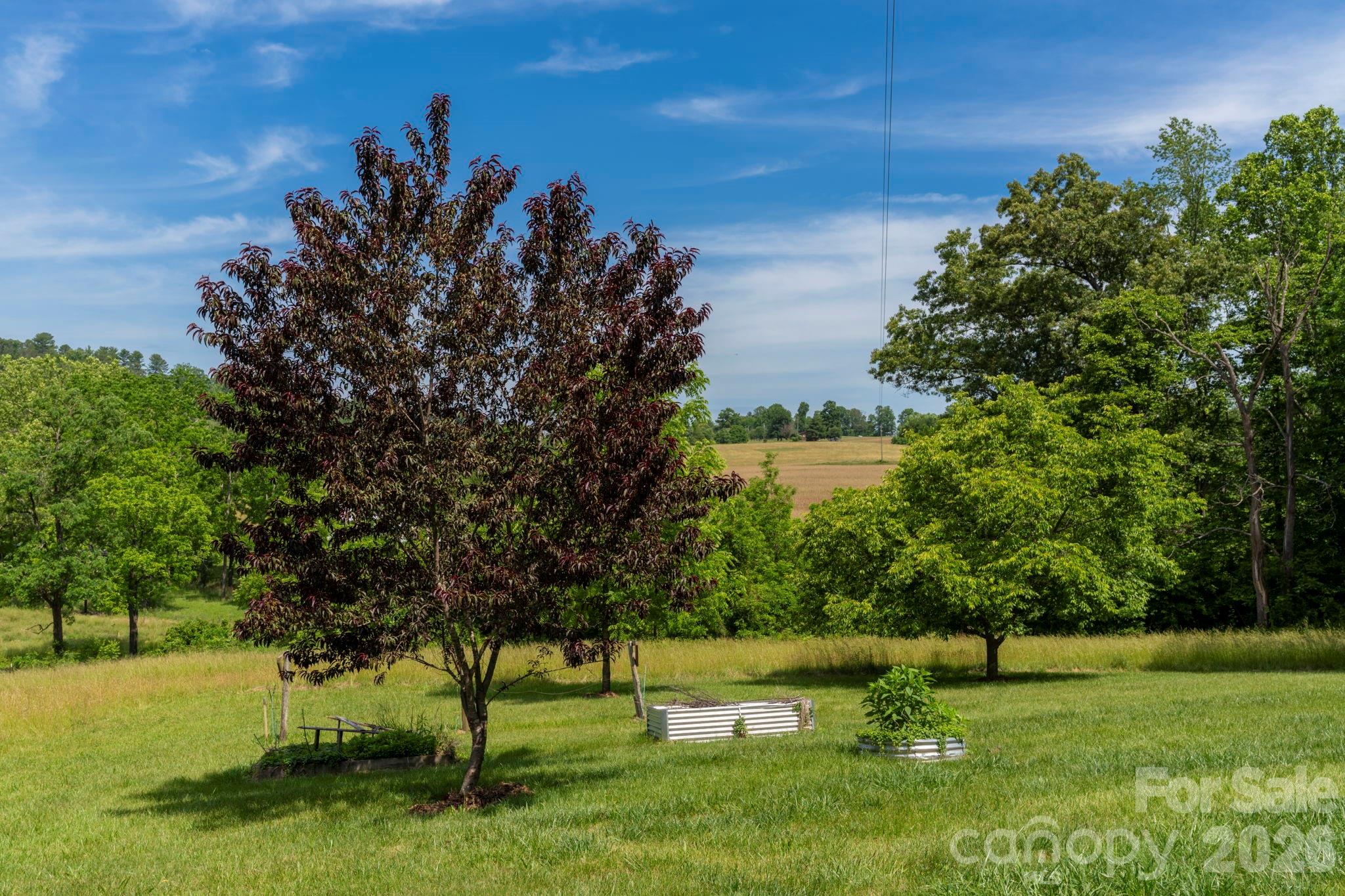 351 Mag Sluder Road Alexander, NC 28701 - Photo 36 of 48