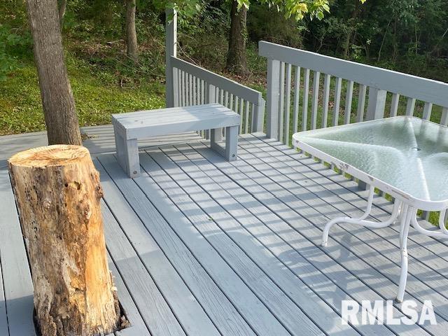 598 Drury Road Carbondale, IL 62902 - Photo 13 of 44 Gallery Image 13