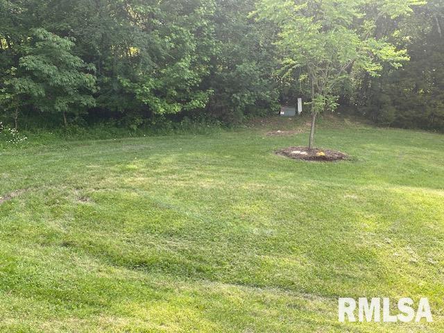 598 Drury Road Carbondale, IL 62902 - Photo 14 of 44 Gallery Image 14