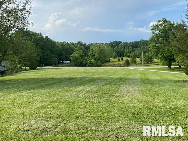 598 Drury Road Carbondale, IL 62902 - Photo 17 of 44 Gallery Image 17